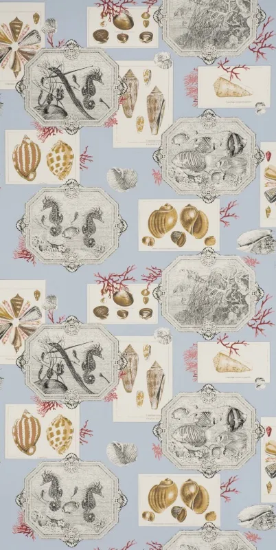 Обои для стен Pierre Frey Dessins Signatures fp193003