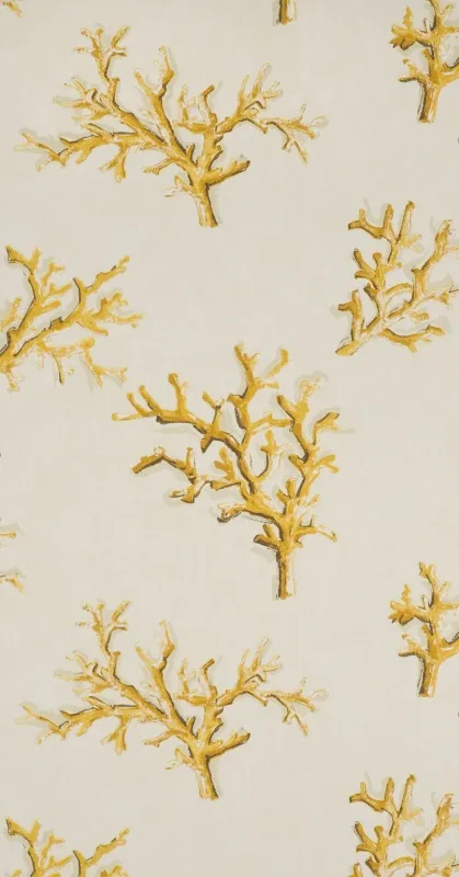 Обои для стен Pierre Frey Dessins Signatures fp196003