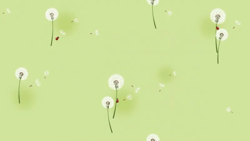 Обои для стен Shinhan Dream World A5063-2