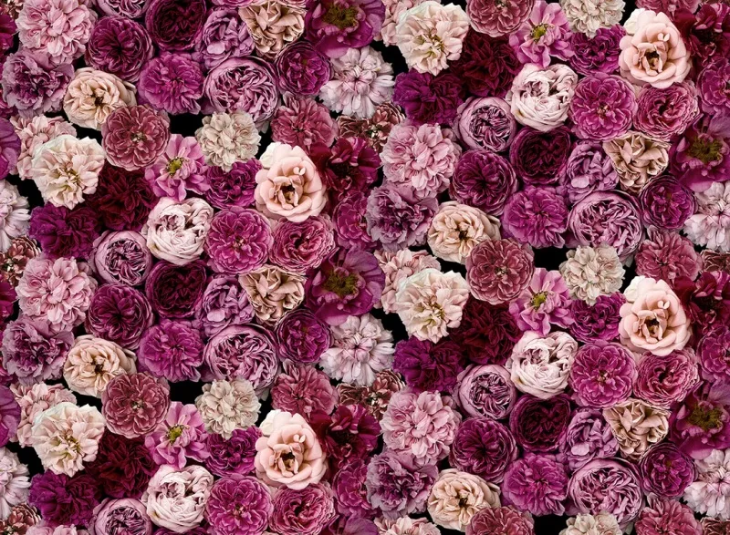 Обои для стен Mr Perswall Captured Reality 2 P291601-8