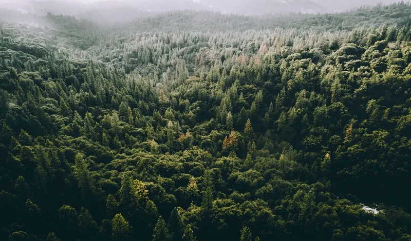 Обои для стен Mr Perswall Captured Reality 2 P292101-0