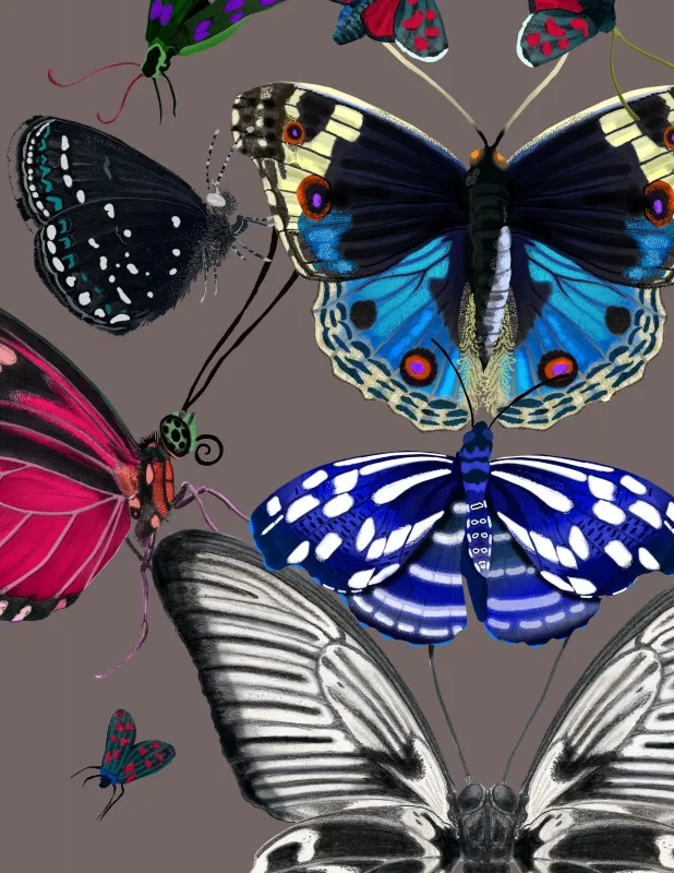 Обои для стен Kitmiles Wallcoverings Al.1 Metamorphosis-Saddle