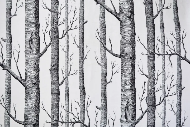 Ткань Cole & Son Contemporary Collection F111-7026