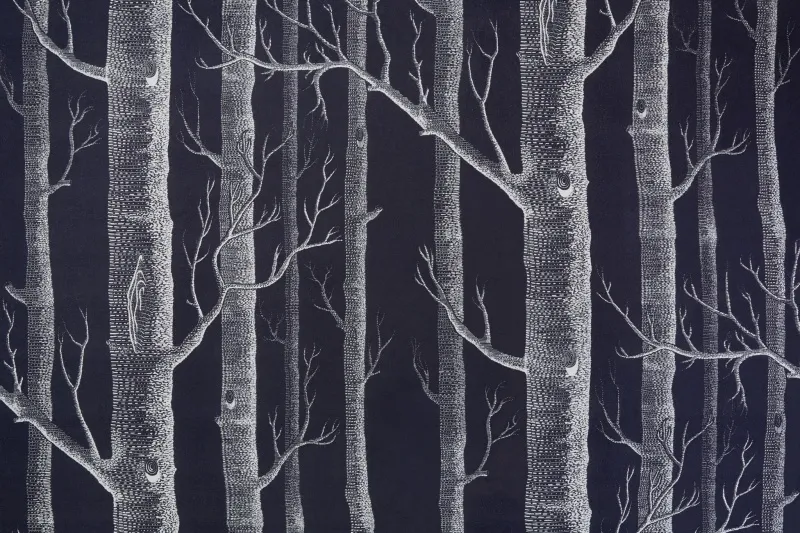 Ткань Cole & Son Contemporary Collection F111-7027