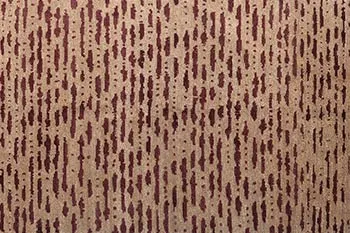 acacia-b-honey-thumb