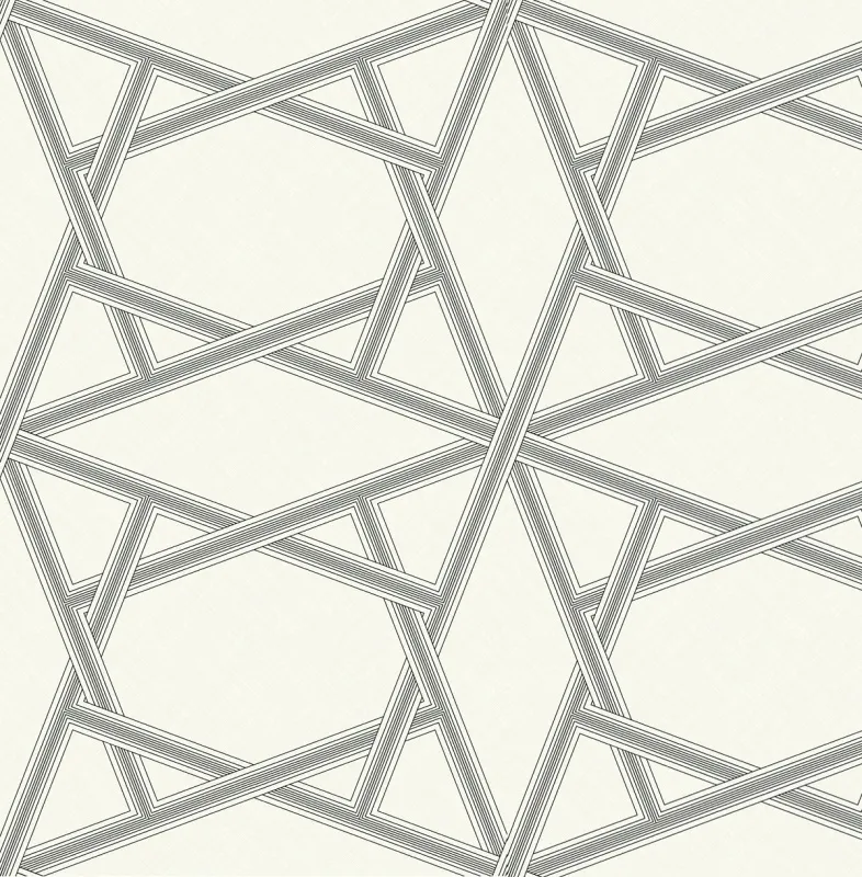 Обои для стен Architector Black and White zn50400