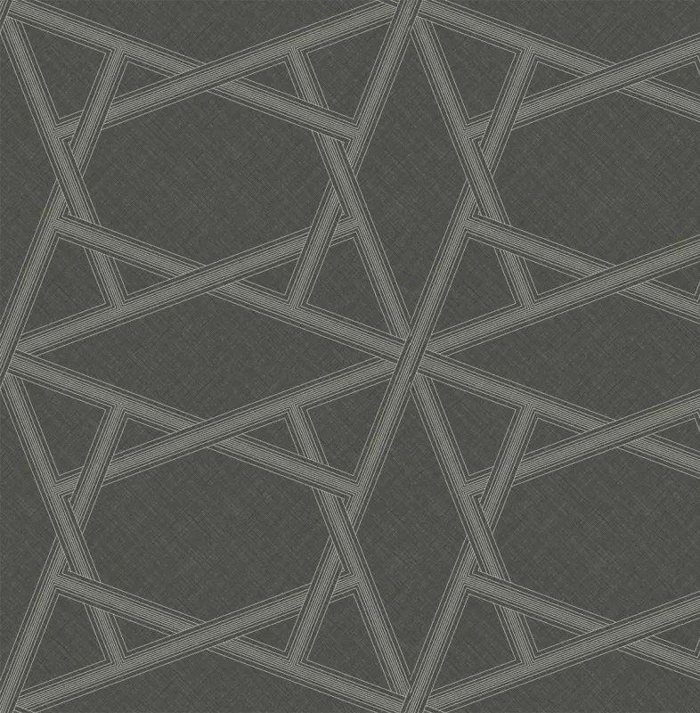 Обои для стен Architector Black and White zn50403