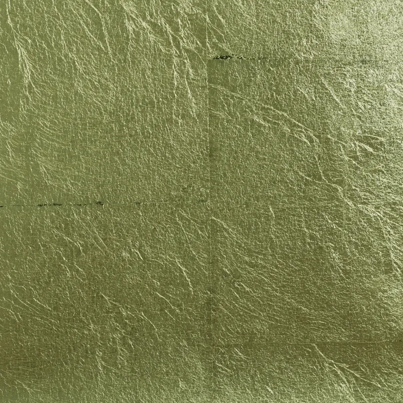 Обои для стен Maison Neva Aurora AU006