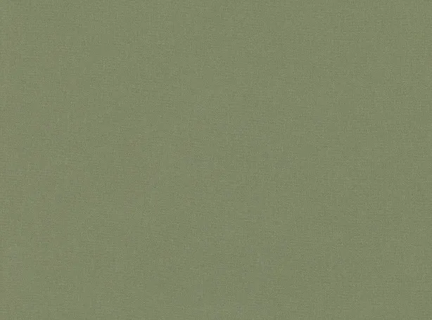 Ткань Romo Acara 7862-27