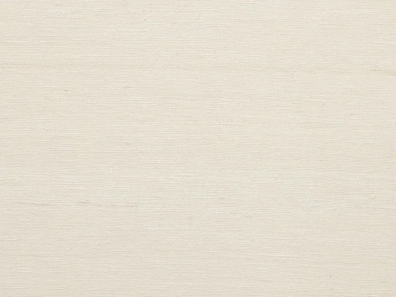 Обои для стен Pierre Frey Natecru Textures fp641001