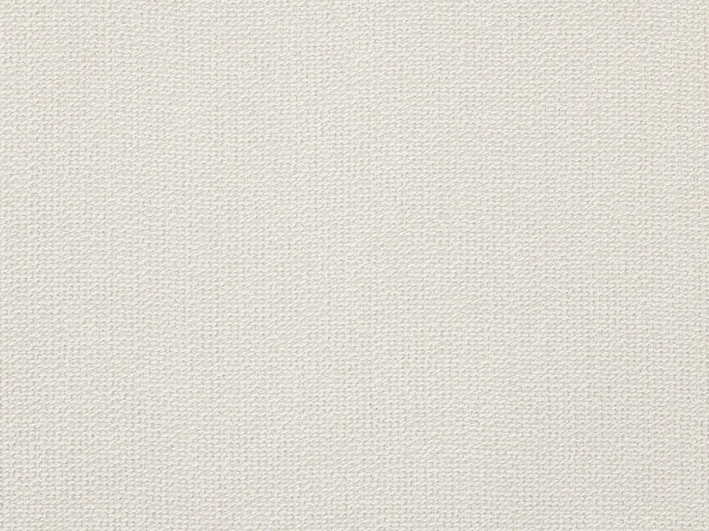 Обои для стен Pierre Frey Natecru Textures fp647001