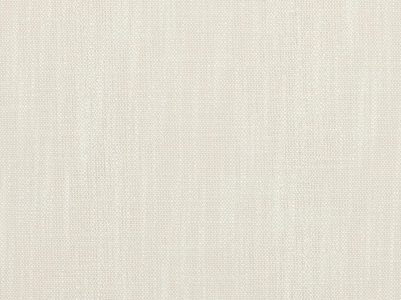 Обои для стен Pierre Frey Natecru Textures fp651002