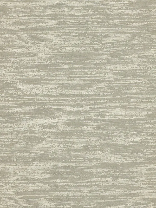 Обои для стен Pierre Frey Natecru Textures fp658004