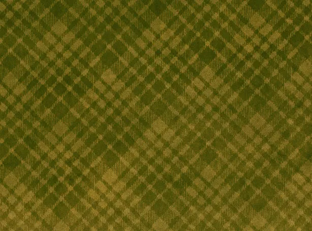 Ткань Kirkby design Futurebound K5256-06