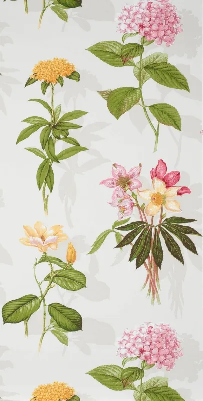 Обои для стен Boussac Faune & Flore w4641001