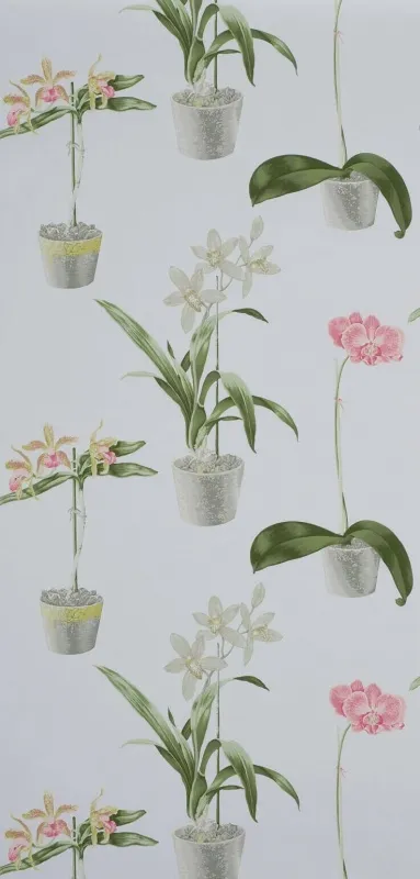 Обои для стен Boussac Faune & Flore w4963004