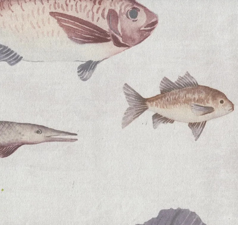 Обои для стен KT Exclusive Discovery DYW0001