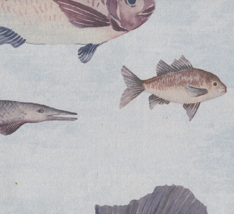 Обои для стен KT Exclusive Discovery DYW0002