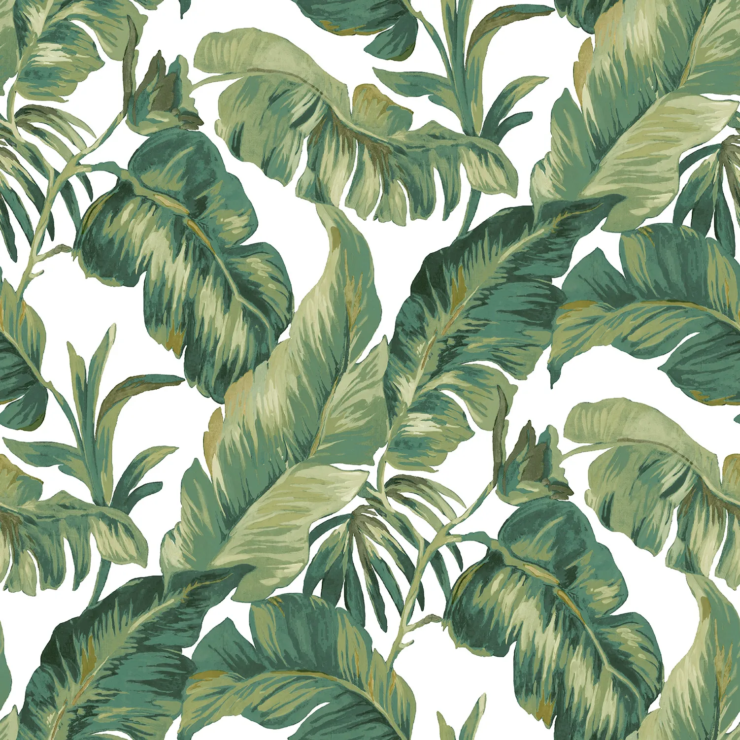 Обои для стен Parato Cristiana Masi Amazzonia 22012