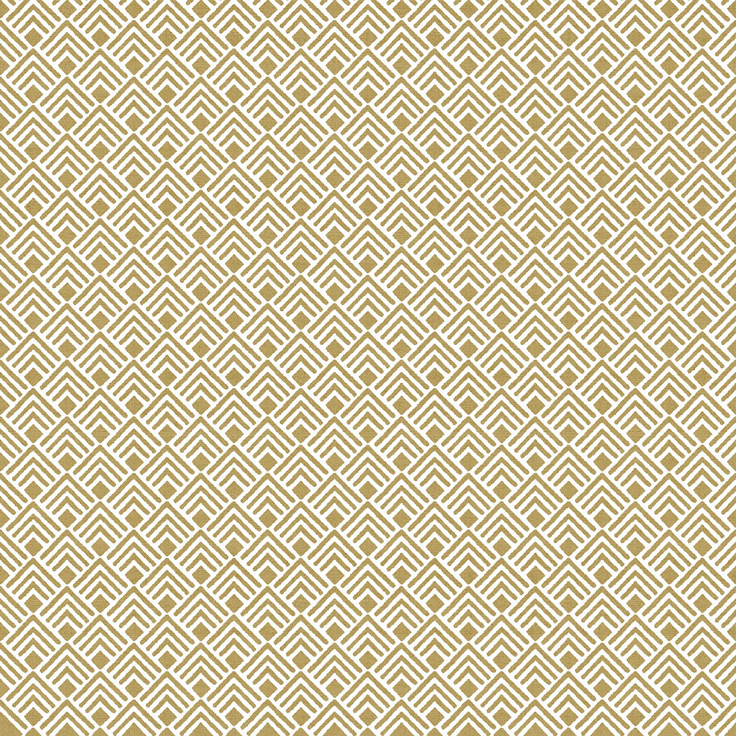 Обои для стен Parato Cristiana Masi Amazzonia 22036