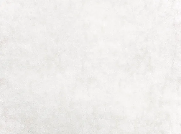 Ткань Zinc City Z453-01