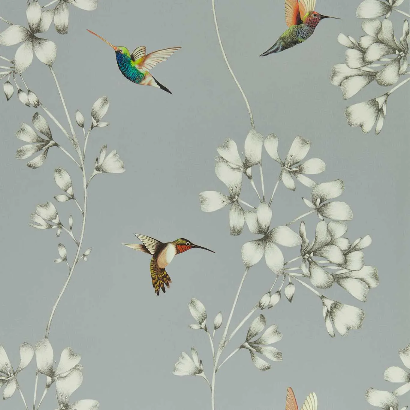 Обои для стен Harlequin Colour Wallpapers 112605