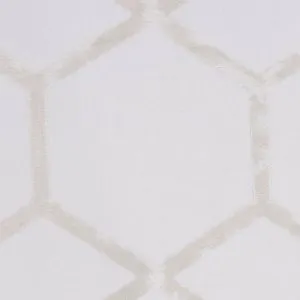 Ткань Clarke&Clarke Metalli F1469-04