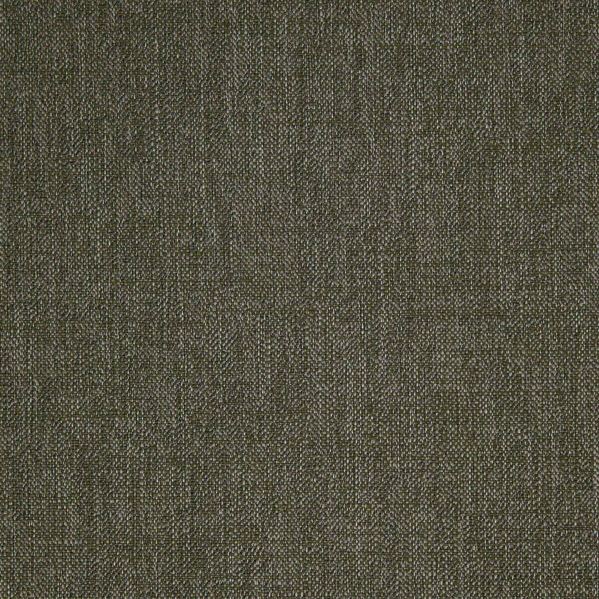 Ткань Pepe Penalver Abaca ABACA-13