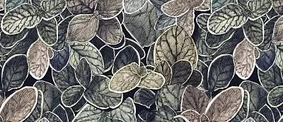 Обои для стен Ressource Faune&Flore cg01_03_charmille