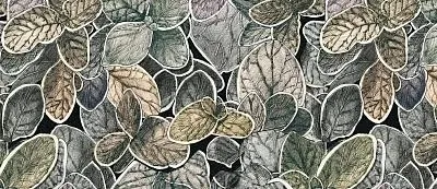 Обои для стен Ressource Faune&Flore cg03_03_charmille