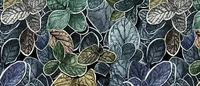 Обои для стен Ressource Faune&Flore cg05_03_charmille