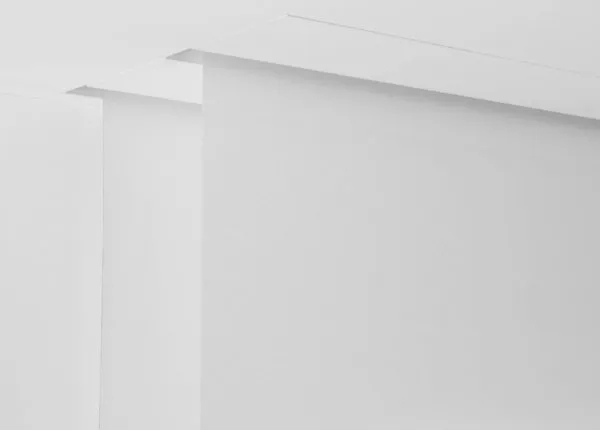 Рулонные шторы invisible_phantom-double