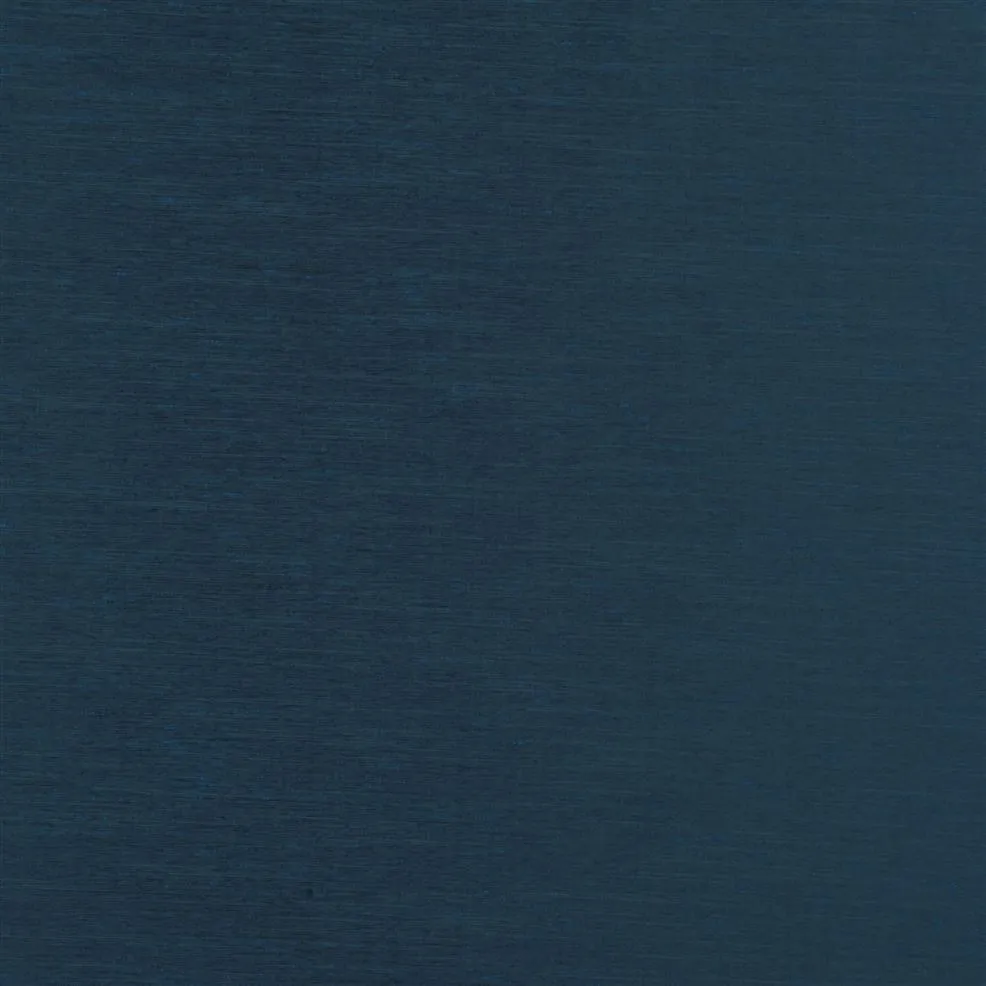 Ткань Designers Guild Chaviere FDG2942-02