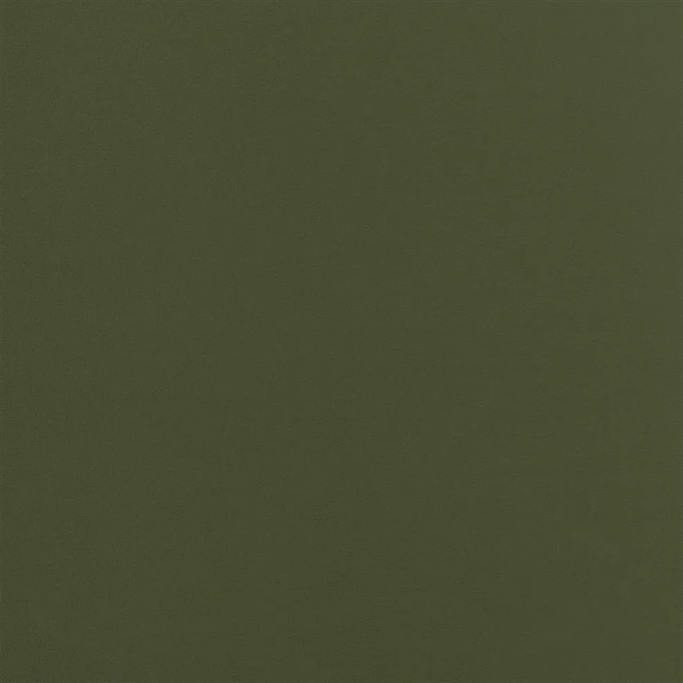 Ткань Designers Guild Cameri FDG2944-08