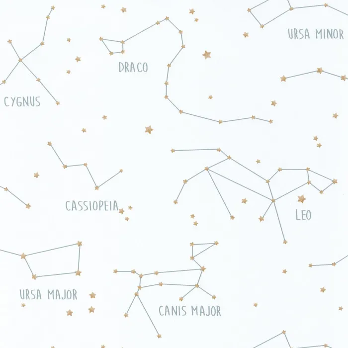 Обои для стен Caselio Our Planet 101917125