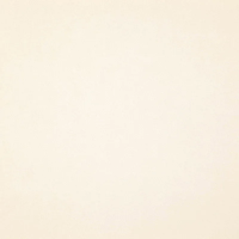 Ткань Дом CARO Aspero 06 Buff