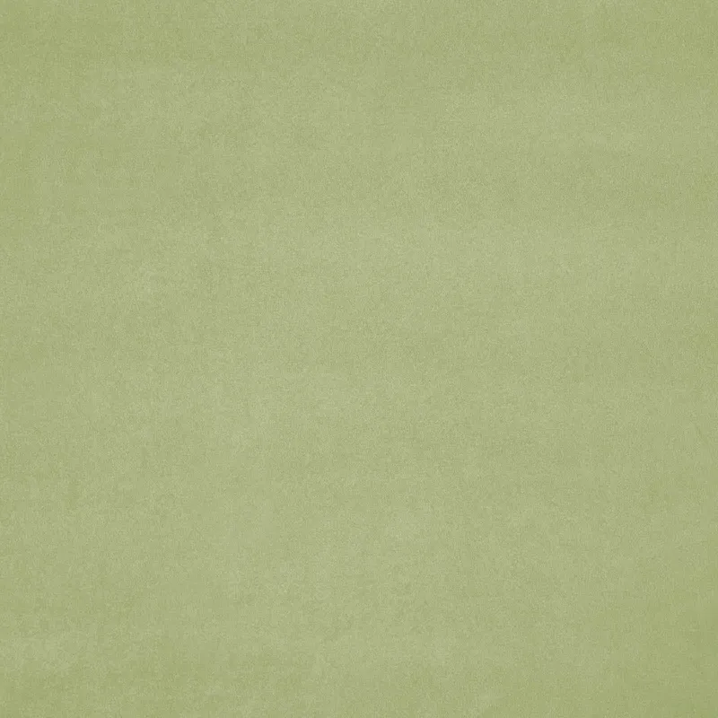 Ткань Дом CARO Aspero 44 Iguana