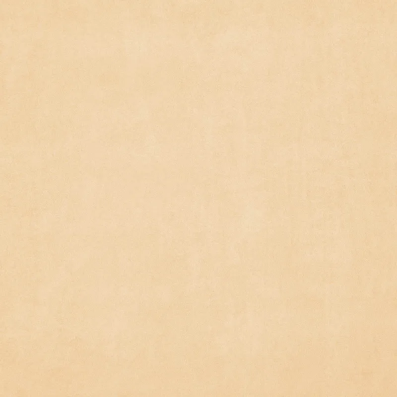 Ткань Дом CARO Aspero 48 Custard