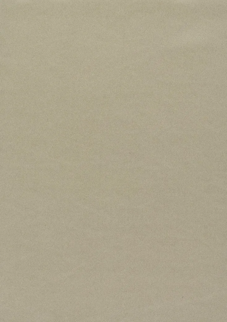 Ткань Дом CARO Dim Out Dimmer 01