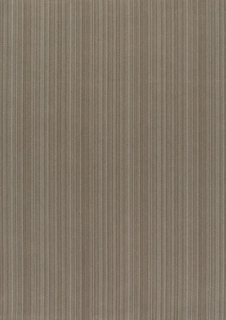 Ткань Дом CARO Dim Out Obscure 01