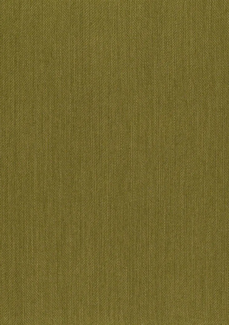 Ткань Дом CARO Dim Out Obtuse 10