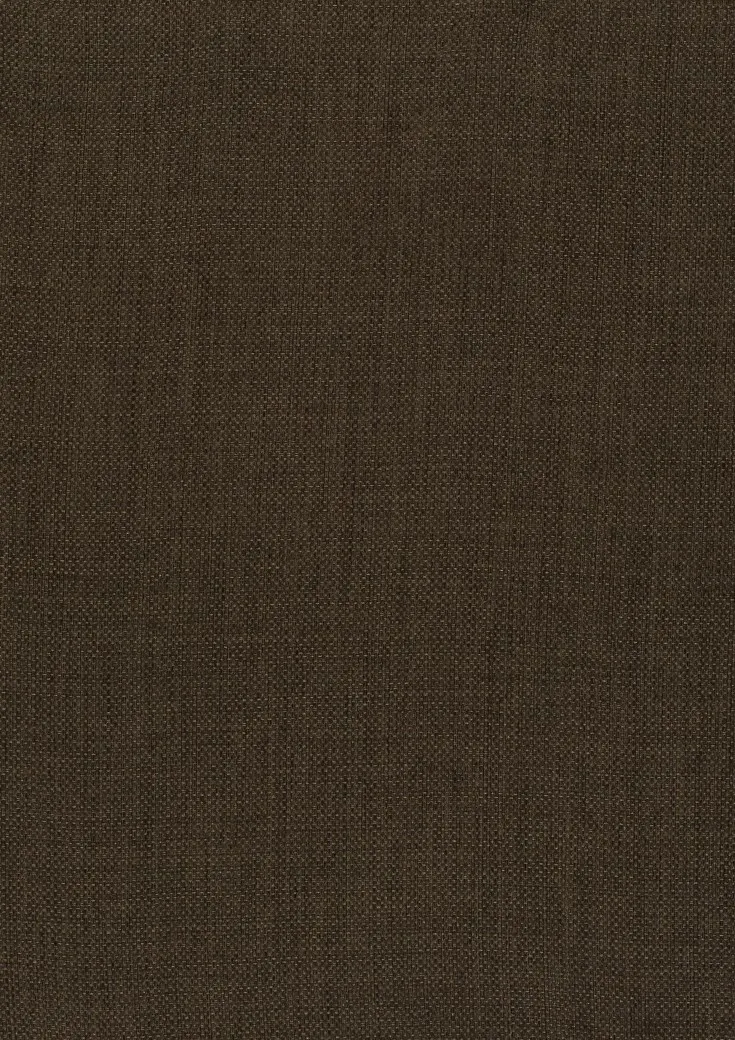 Ткань Дом CARO Dim Out Subdued 02