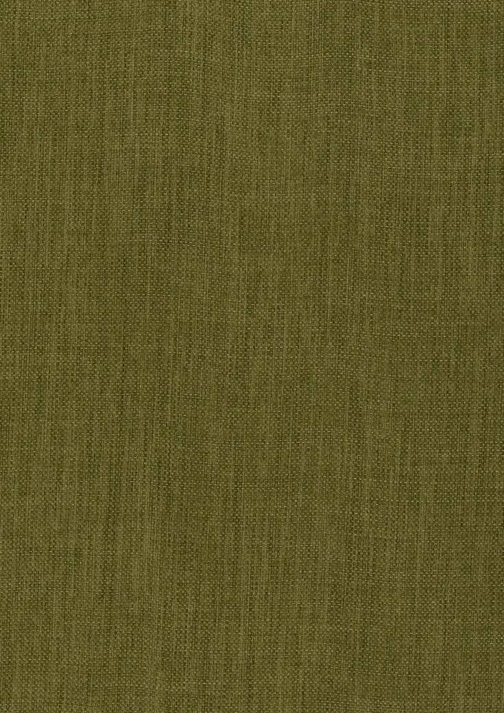 Ткань Дом CARO Dim Out Subdued 10