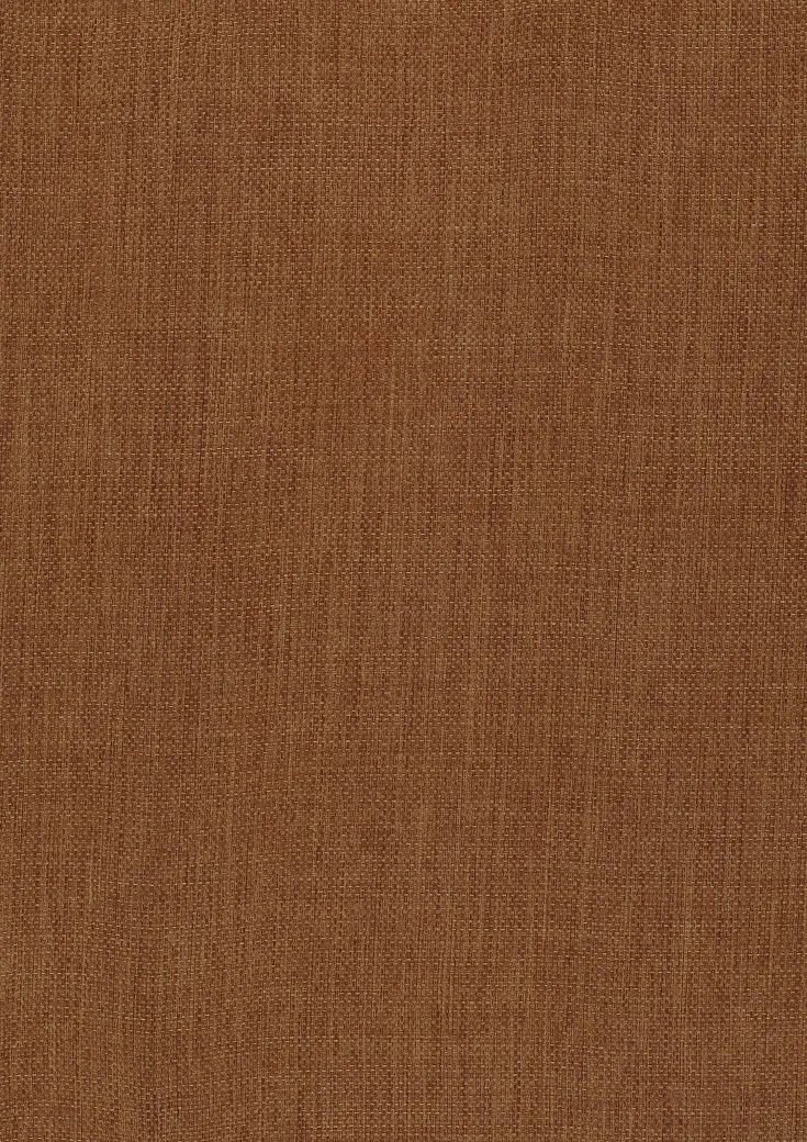 Ткань Дом CARO Dim Out Subdued 11