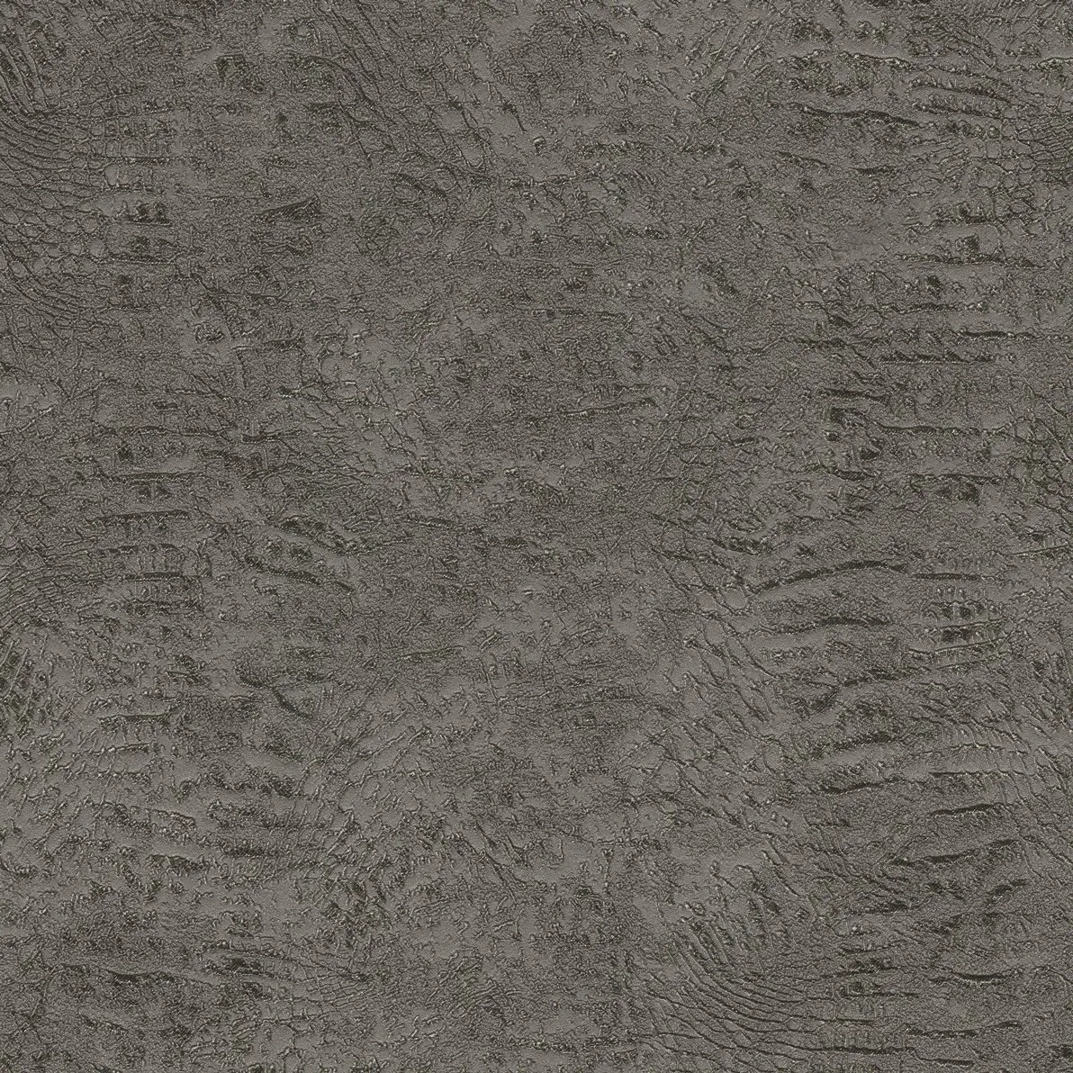 Обои для стен Roberto Cavalli No.7 rc18082