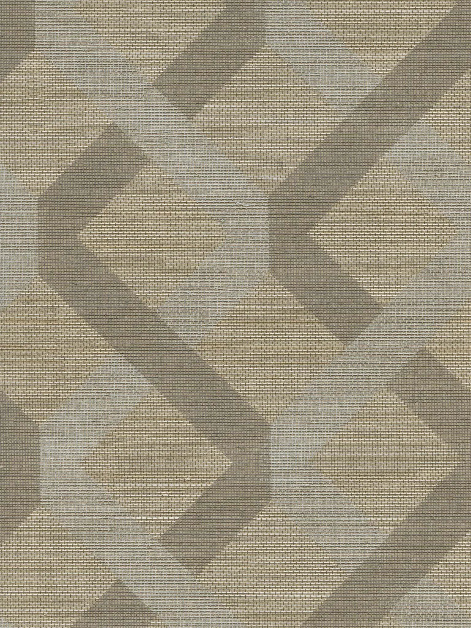 Обои для стен Holland & Sherry Philip Gorrivan WP6052