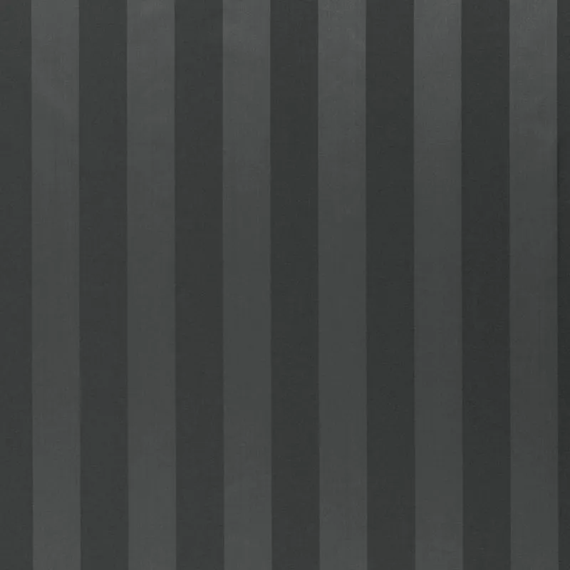 Ткань Daylight Candy Stripes Elvan_Charcoal