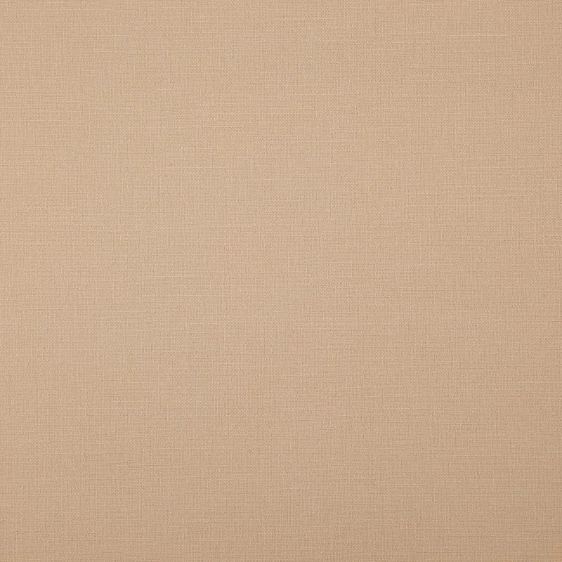 Ткань Daylight Canvas Bonfire_Beige