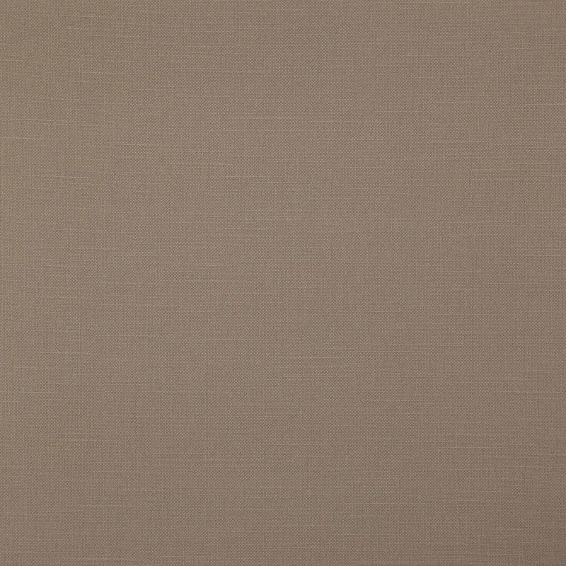 Ткань Daylight Canvas Bonfire_Mushroom