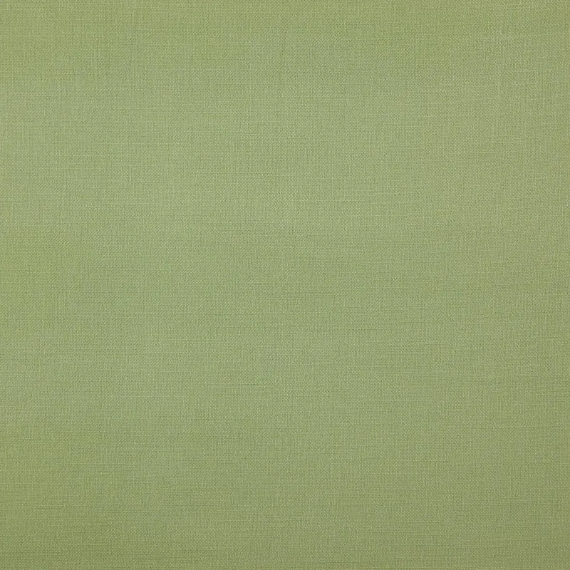 Ткань Daylight Canvas Bonfire_Sage